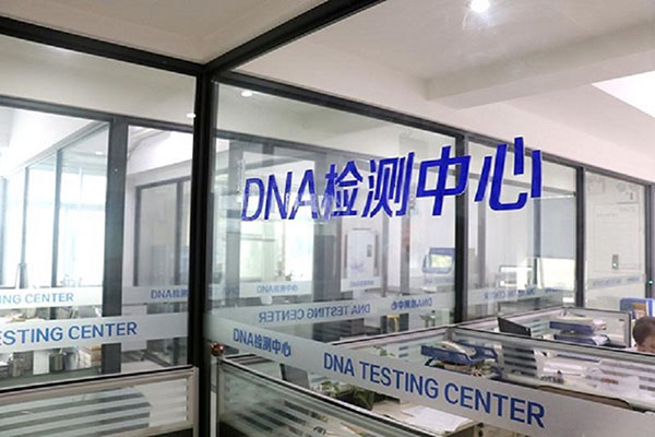 长沙DNA鉴定
